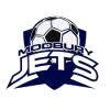 teamLogo