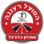 teamLogo
